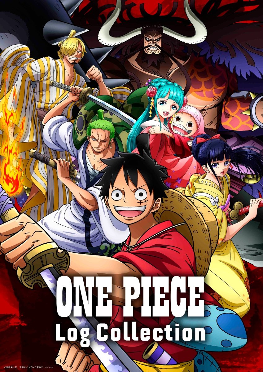One Piece Log Collection Hiyori Japan Import edition