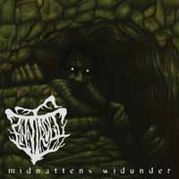 Midnattens Widunder - Finntroll - Musik - Hammerheart Records - 8715392191817 - 26. april 2019