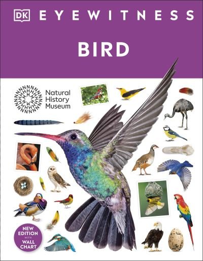 Cover for Dk · Bird - DK Eyewitness (Hardcover bog) (2024)