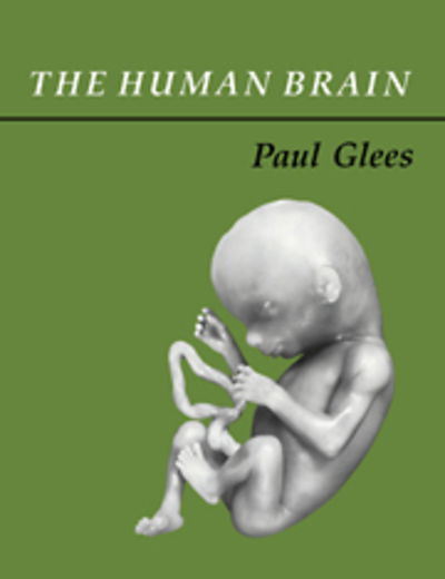 Cover for Glees, Paul (Georg-August-Universitat, Gottingen, Germany) · The Human Brain (Paperback Book) (2005)