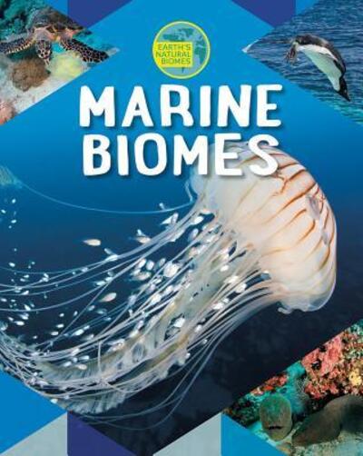 Cover for Louise A Spilsbury · Marine Biomes (Paperback Book) (2018)