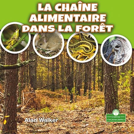 Cover for Alan Walker · La Chaine Alimentaire Dans La Foret (Taschenbuch) (2021)
