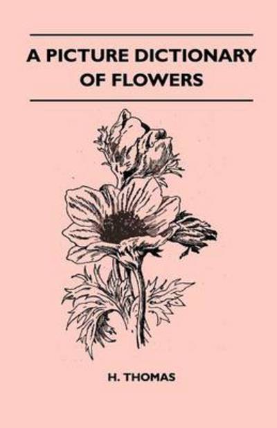 A Picture Dictionary of Flowers - H. Thomas - Books - Saerchinger Press - 9781445518817 - August 25, 2010