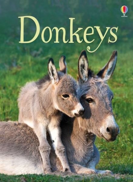 Cover for James Maclaine · Donkeys - Beginners (Hardcover Book) (2017)