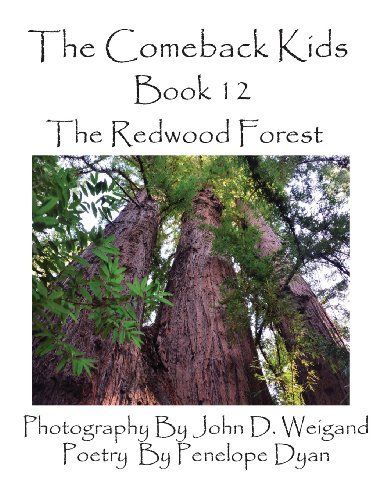 Cover for Penelope Dyan · The Comeback Kids, Book 12, the Redwood Forest (Paperback Book) [Large Type edition] (2013)