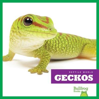 Geckos - Vanessa Black - Books - Bullfrog Books - 9781620313817 - August 1, 2016