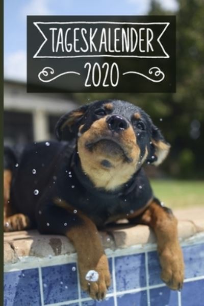 Cover for Rottweiler Tageskalender 202 Publishing · Tageskalender 2020 (Pocketbok) (2019)