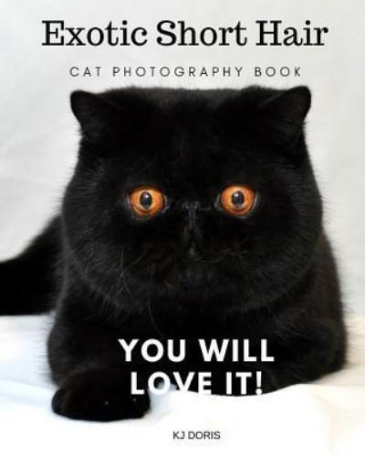 Exotic short hair cat photography book - Kj Doris - Livros - Independently Published - 9781798607817 - 12 de abril de 2019