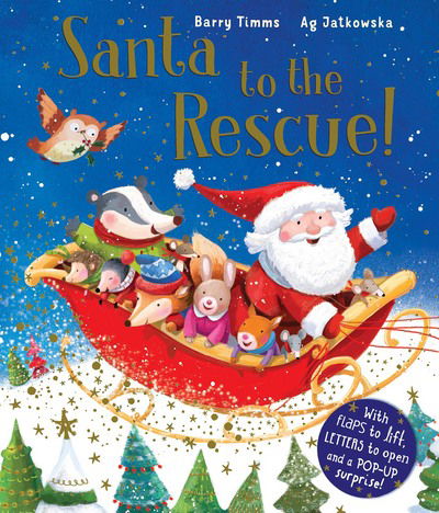 Cover for Barry Timms · Santa to the Rescue! (Hardcover Book) [UK edition] (2016)