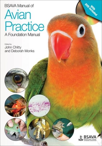 Cover for J Chitty · BSAVA Manual of Avian Practice: A Foundation Manual - BSAVA British Small Animal Veterinary Association (Pocketbok) (2018)