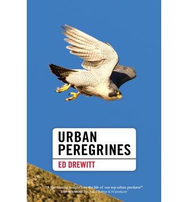 Cover for Ed Drewitt · Urban Peregrines - Pelagic Monographs (Hardcover Book) (2014)