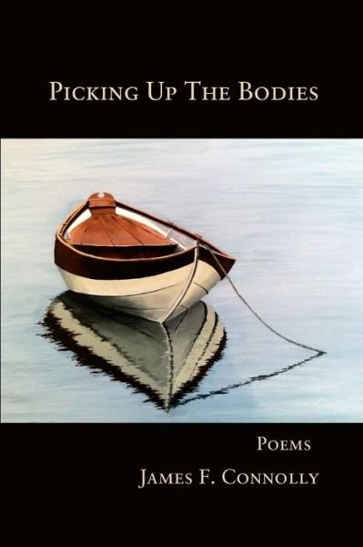 Cover for James F. Connolly · Picking Up the Bodies (Paperback Book) (2014)