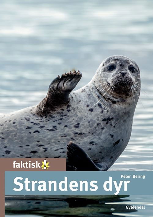 Cover for Peter Bering · Faktisk!: Strandens dyr (Gebundesens Buch) [1. Ausgabe] (2022)