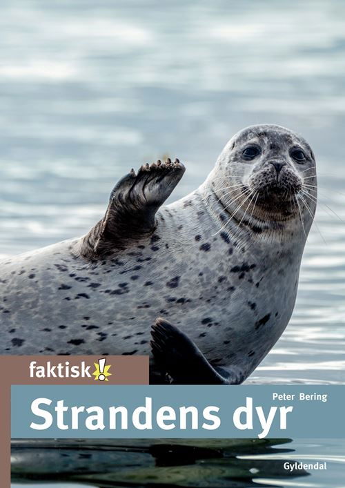 Cover for Peter Bering · Faktisk!: Strandens dyr (Indbundet Bog) [1. udgave] (2022)
