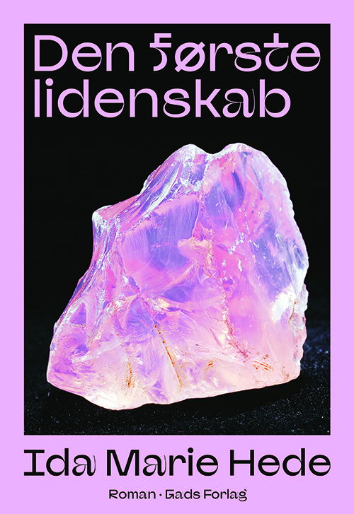 Cover for Ida Marie Hede · Den første lidenskab (Sewn Spine Book) [1st edition] (2025)