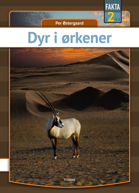 Cover for Per Østergaard · Fakta 2: Dyr i ørkener (Gebundenes Buch) [1. Ausgabe] (2025)