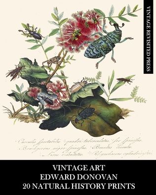 Cover for Vintage Revisited Press · Vintage Art: Edward Donovan: 20 Natural History Prints: Entomology Ephemera for Home Decor, Collages and Scrapbooks (Pocketbok) (2024)