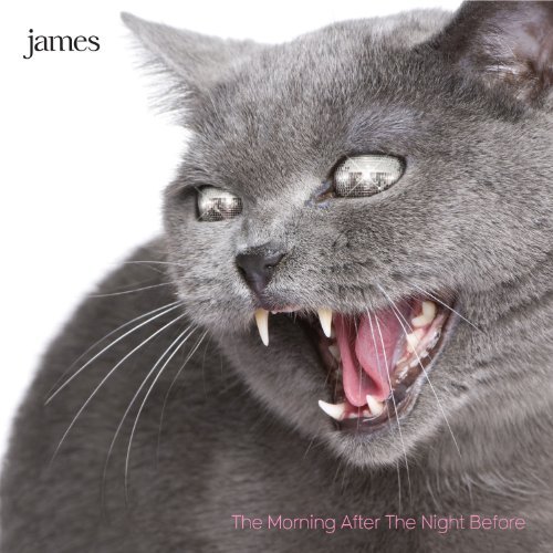 Cover for James · James - Morning After The Night Before (CD) (2010)