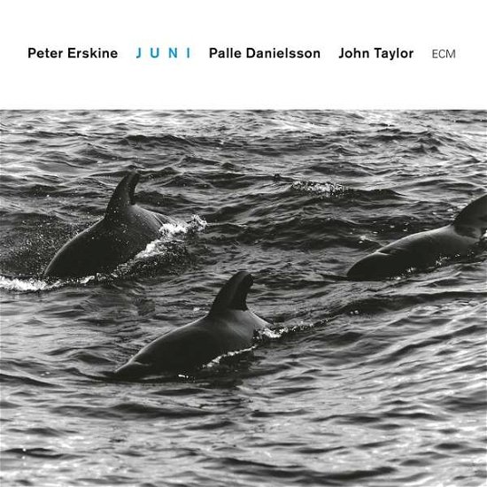 Cover for Erskine / Danielsson / Taylor · Juni (CD) [Digipak] (2019)