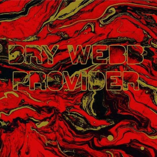 Cover for Bry Webb · Provider (LP) (2022)