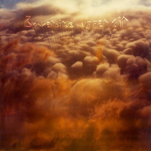 Cover for Bowerbirds · Upper Air (LP) [Standard edition] (2009)