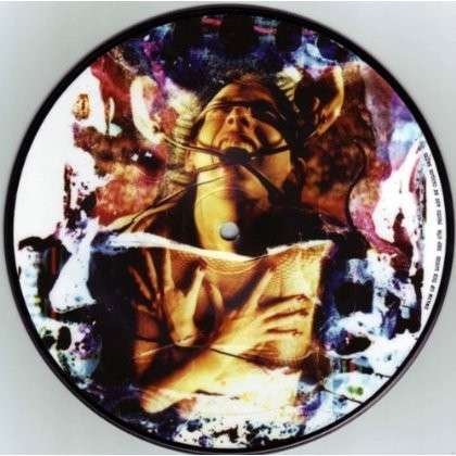 Cover for Swarm Of The Lotus · Torrential (Pd) (SCD) [Picture Disc edition] (2013)