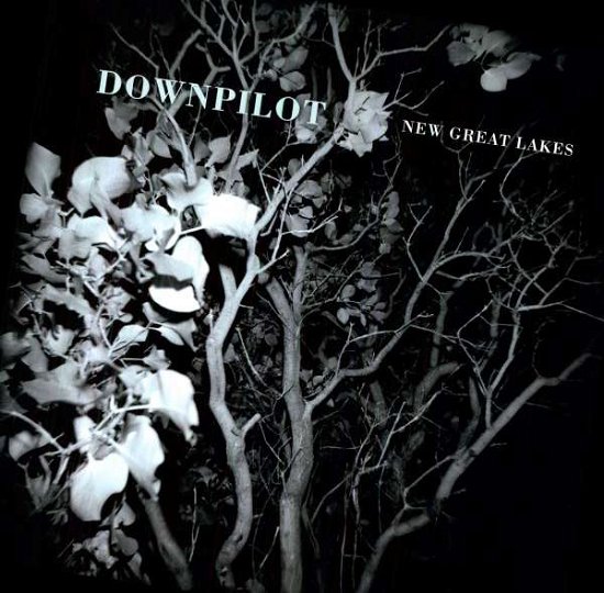 Cover for Downpilot · New Great Lakes (LP) (2011)