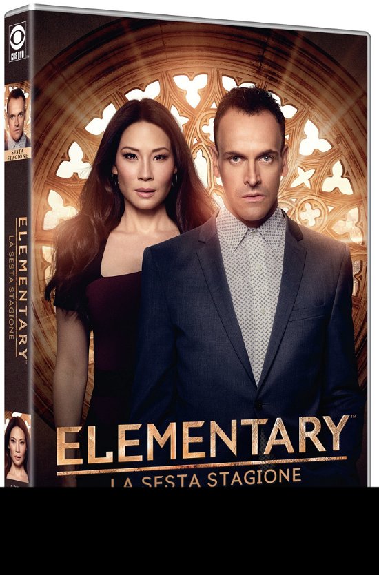 Cover for Lucy Liu,jonny Lee Miller,aidan Quinn · Elementary - Stagione 06 (DVD) (2019)