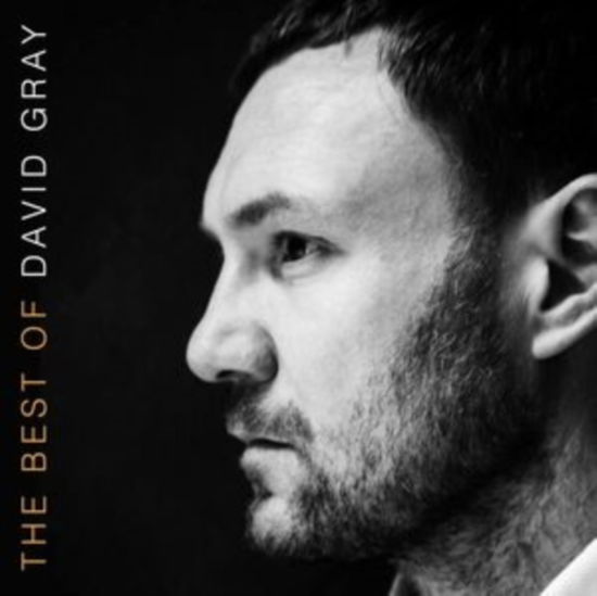 Cover for David Gray · The Best Of David Gray (LP) (2024)