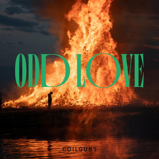 Odd Love - Coilguns - Music - HUMMUS - 7640186557818 - November 22, 2024