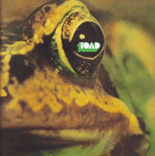 Cover for Toad (LP) [High quality vinyl edition] (2013)