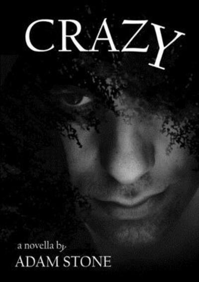 Cover for Adam Stone · Crazy (Pocketbok) (2019)