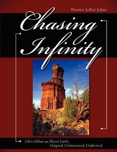 Warren Leroi Johns · Chasing Infinity (Paperback Bog) (2011)