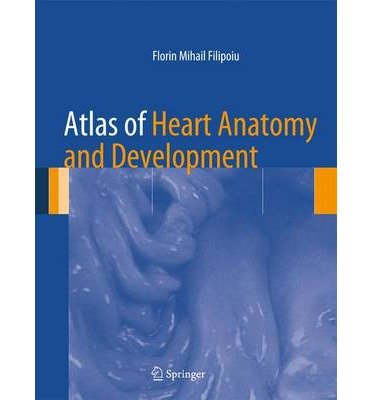 Atlas of Heart Anatomy and Development - Florin Mihail Filipoiu - Kirjat - Springer London Ltd - 9781447153818 - torstai 19. joulukuuta 2013