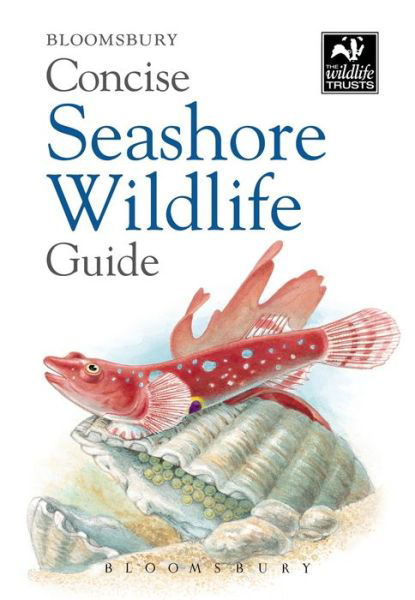 Cover for Bloomsbury · Concise Seashore Wildlife Guide (N/A) (2014)