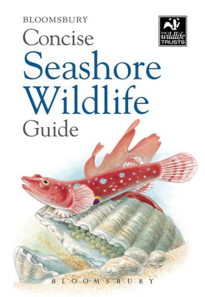 Concise Seashore Wildlife Guide - Bloomsbury - Other - Bloomsbury Publishing PLC - 9781472915818 - November 6, 2014