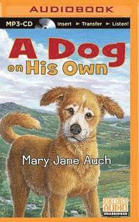 Cover for Mary Jane Auch · A Dog on His Own (MP3-CD) (2015)