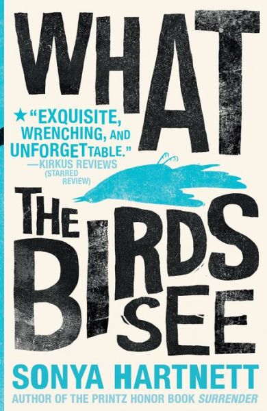 Cover for Sonya Hartnett · What the Birds See (Paperback Book) (2019)