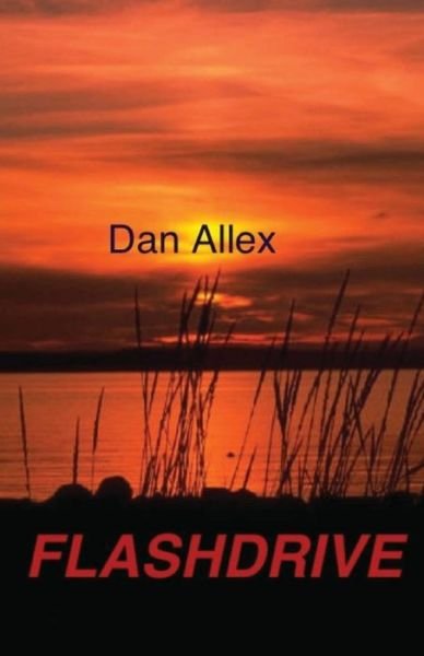 Cover for Dan Allex · Flashdrive (Pocketbok) (2017)