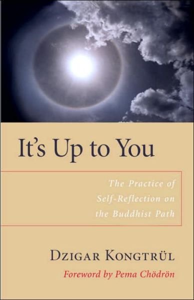 Cover for Dzigar Kongtrul · It's Up to You: The Practice of Self-Reflection on the Buddhist Path (Paperback Bog) [New edition] (2006)
