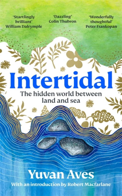 Cover for Yuvan Aves · Intertidal: The hidden world between land and sea (Hardcover Book) (2025)