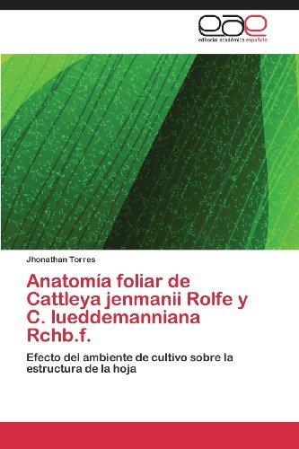 Cover for Jhonathan Torres · Anatomía Foliar De Cattleya Jenmanii Rolfe Y C. Lueddemanniana Rchb.f.: Efecto Del Ambiente De Cultivo Sobre La Estructura De La Hoja (Pocketbok) [Spanish edition] (2013)