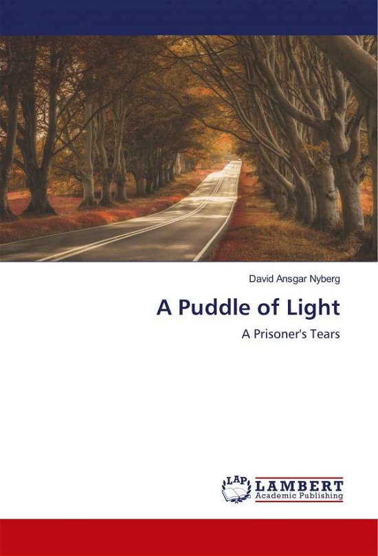 Cover for Nyberg · A Puddle of Light (Bog)
