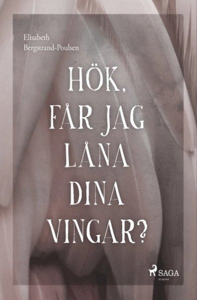 Cover for Elisabeth Bergstrand-Poulsen · Hök, får jag låna dina vingar? (Bog) (2018)