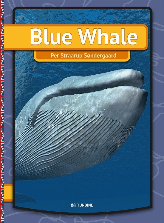 Cover for Per Straarup Søndergaard · My First Book: Blue Whale (Innbunden bok) [1. utgave] (2015)