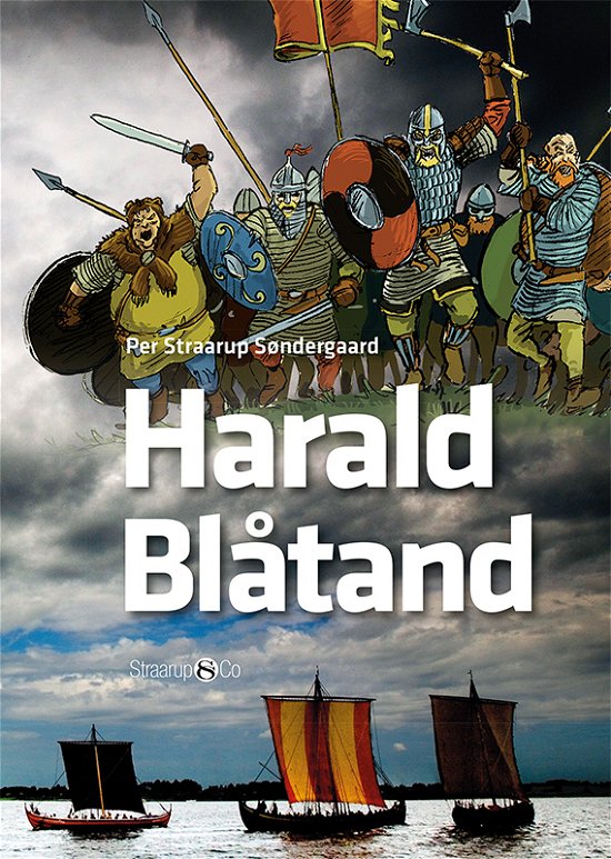 Cover for Per Straarup Søndergaard · Maxi: Harald Blåtand (Innbunden bok) [2. utgave] (2018)