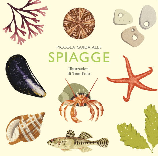 Cover for Alison Davies · Piccola Guida Alle Spiagge (Book)