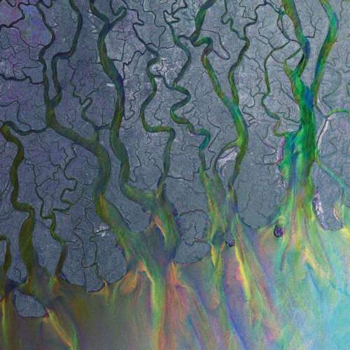 An Awesome Wave - Alt-j - Music - ALTERNATIVE - 0075678762819 - September 18, 2012