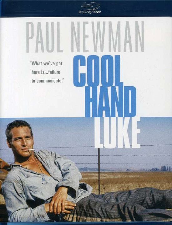 Cover for Cool Hand Luke (Blu-ray) (2008)