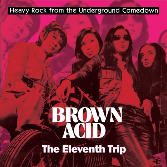 Cover for Brown Acid: The Eleventh Trip (LP) (2020)